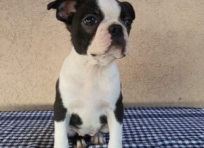 Screenshot21581098853