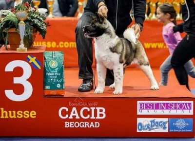 americkaakita061582674740