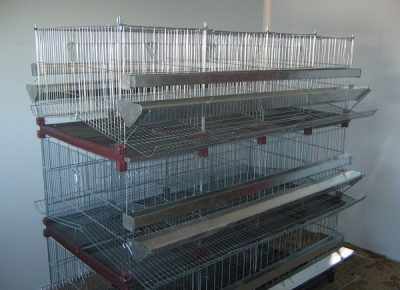 kavezizakoke1582069957