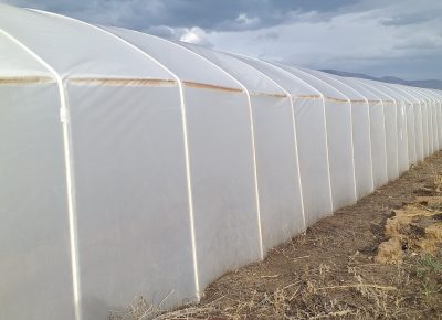 202003031524431583256978