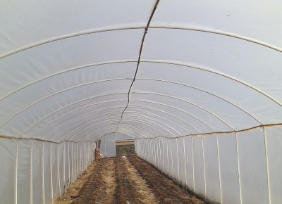 202003031525131583256965