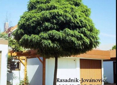 293429224118689759266917129887518018764800n(1)1584016983