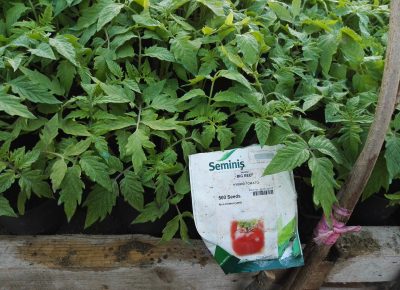 IMG202003181654461584771537