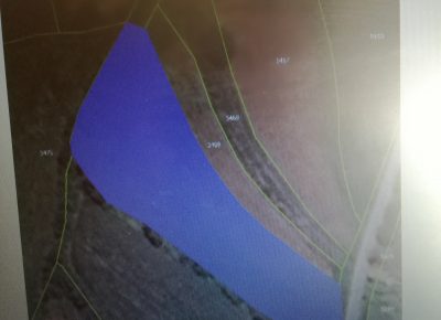 IMG202003291701441585495017