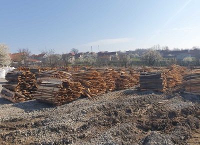 IMG6a2a373beac8962c7f8db06b5f4aefefV1585174157