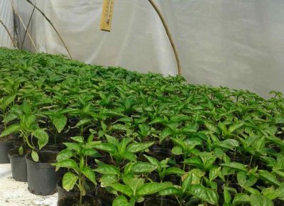 IMG7ede47390213b5243d4078b806f0aeb2V1584773180