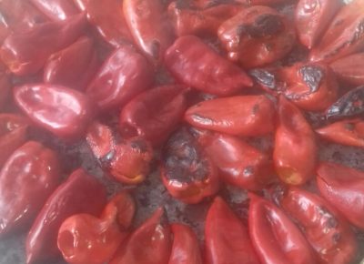 IMGde76025a33b9b21c01bfe15117dc6f53V1585052259