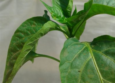 IMGeb1a5c1f36dfd7cf4683c219ef16e540V1584773093