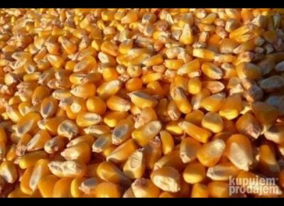 Screenshot20200330210028Gallery1585596453