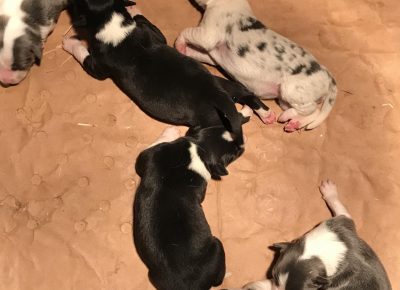 viberimage202003021711091583255033