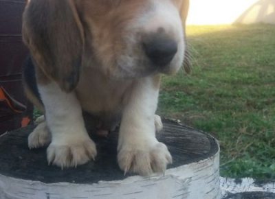 viberimage202003052126151583517222