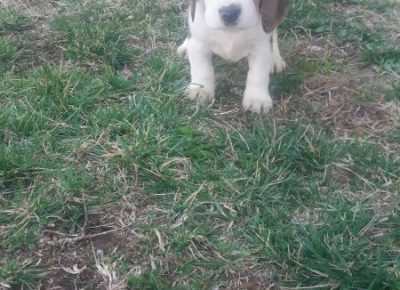 viberimage202003052126271583517224