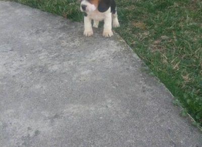 viberimage202003052126321583517224