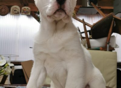 viberimage202003061214231583524104