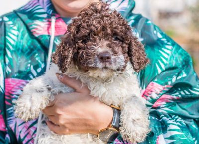 viberimage202003131617321584181477