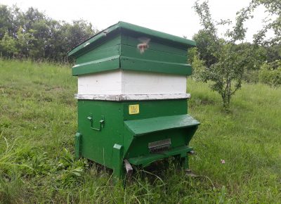 201906051539251587849435