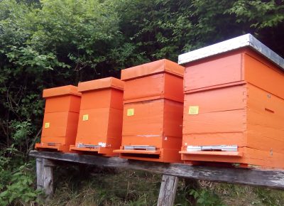 IMG201805031608421587849451