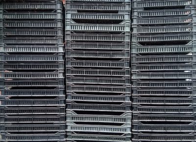 IMG202004041504401586369657