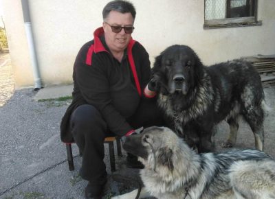 arčević61587400597