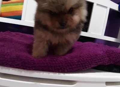 svetllboo31587386068