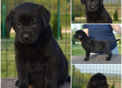 1Aleksandra1588315816