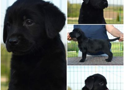 2Aleksandra1588315828