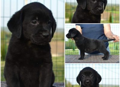 3Aleksandra1588315834