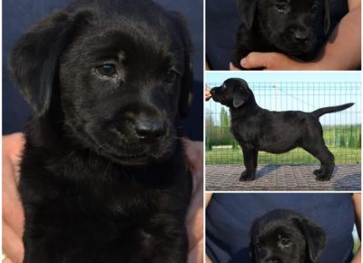 4Aleksandra1588315840