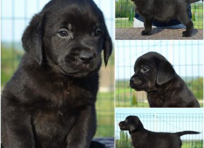 5Aleksandra1588315846