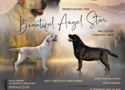 6Aleksandra1588315853