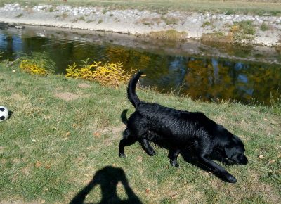 IMG201710191304005081588841698