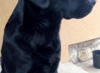 IMG201712111054324471588841462