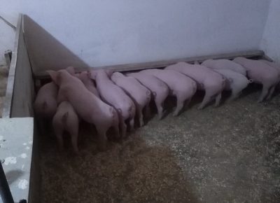 IMGab92204347318b5df6f11e25ca3addfcV1590741497