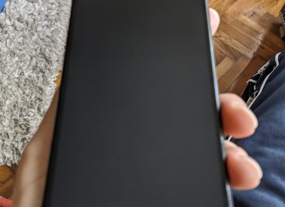 IMGtigr202004291758471589738168