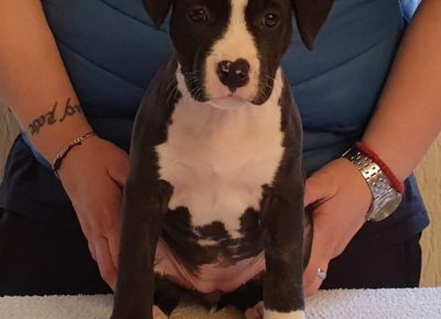 astjelena21588663281