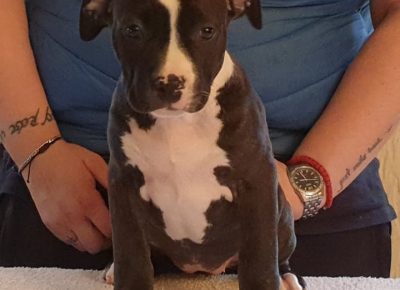 astjelena91588663282