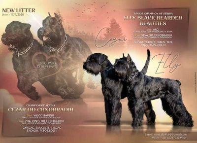 ivanacrnii11588620663