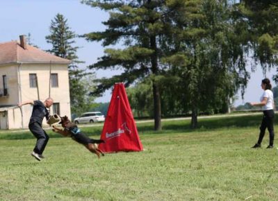 nemackiovcar07a1590951519