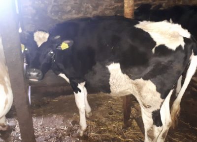 0020515fd8dc427951ec3ad36a259ed4c7ae6cfa78626826ddc839ae061267ee1338a7a6df28b1592378894