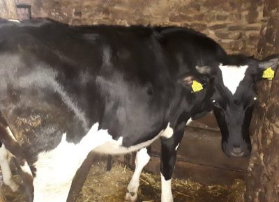 00205524e018b4f8999ca423bf33b5ea2f349a85570eb2e8432862dfdc755e4b8733cd9f4733a1592378904