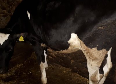 002056ca823df0644c163f89ba911ccd77eb44837cd5d0b67a7f44da730dfd6e7d390d927cbdb1592378893