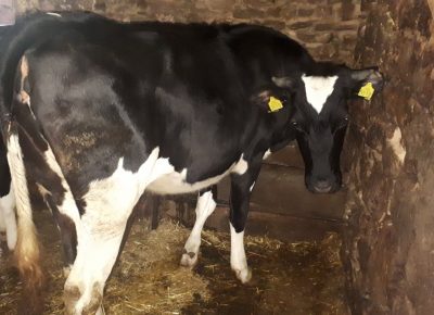 002056f8d6893d57abe782b54bd1bbc04eec40bcf68c5eebc4254c43a2b86b0d449a0ff42ea911592378899