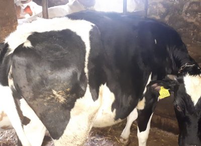 00205812fa64486c90cde788c3636814aabd6a20a6c098b2b1c5d64272d091549284aea950b211592378895