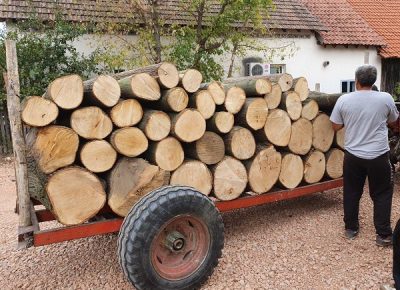 Lipalipovitrupcikupujem1591833082