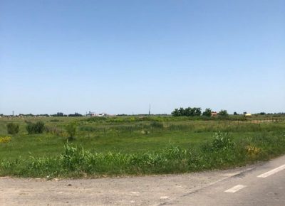 placgavra11592162419