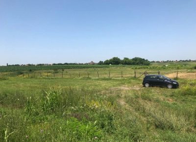 placgavra21592162419