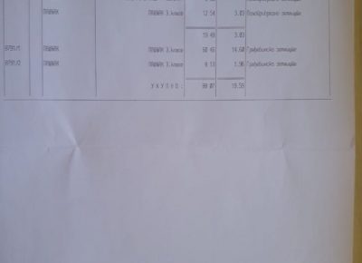 placgavra51592162419