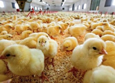 viberimage202006231418411592936685