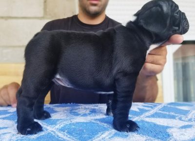 1VladimirM1595707681