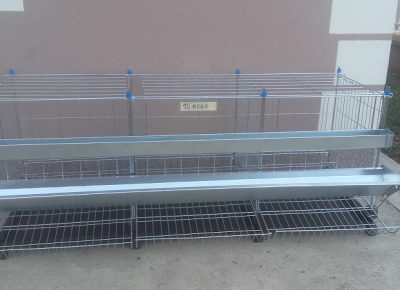 201902211626541595168801